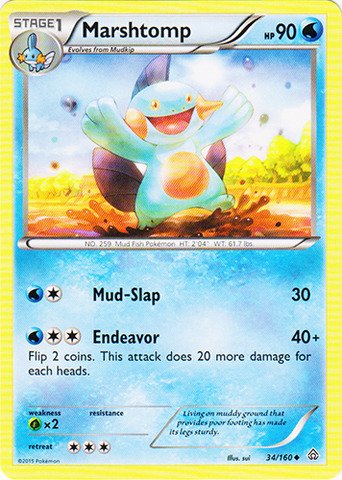 Pokemon - Marshtomp (34/160) - XY Primal Clash