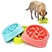 TechDutch Pet Slow Feeder Dog Bowl Dog Drink Water Bowl – Funy and Healthy Interactive Feeder Stops Dog Bloat Condition by Eating More Slowly (Blue)