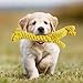 HC-RET Dog Toy, Animal Design Cotton Rope Dog Toys with Puppy Pet Play Chew and Training Toy (Set of 5)