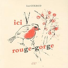 Ici rouge-gorge