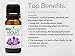 Biofinest Violet Essential Oil - 100% Pure Organic Therapeutic Grade - Best for Aromatherapy, Relaxing Sleep, Skin Moisturizer, Cosmetics, Ease Stress Anxiety Migraine - FREE E-Book (10ml)
