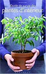 Guide de survie des plantes d'intérieur
