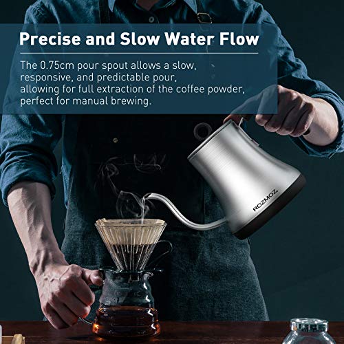 Rozmoz Electric Kettle with Temperature Control, Pour Over Kettle 304