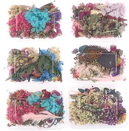 5 Boxes Natural Dried Flowers Real Mixed Pressed Flowers DIY Arrangement for Art Craft Soap Making Epoxy Resin Candle Scrapbooking Random Color - Image 4
