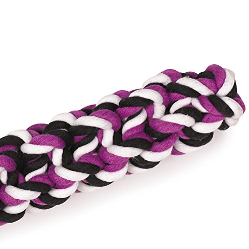 Grriggles Rope Stick Dog Toys, Purple, 11.5"
