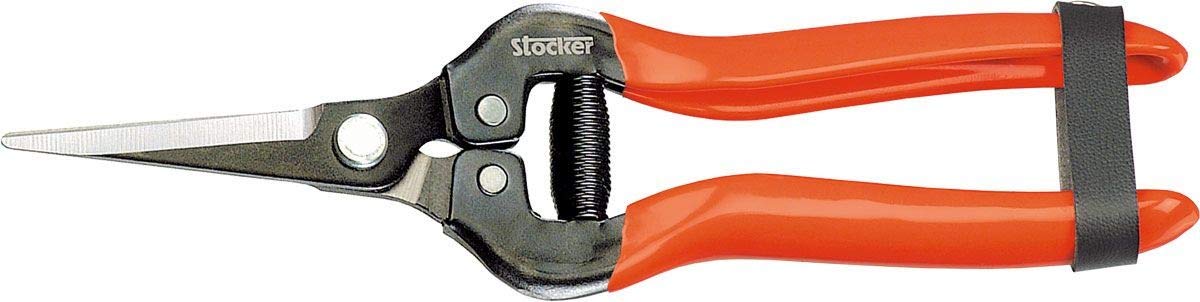 Stocker FORBICE SPECIALE PER VENDEMMIA 19