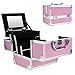 Binxin Professional Mini Makeup Train Case - Cosmetic Box with Adjustable Dividers - 3 Extendable Trays Aluminum Make Up Artist Organizer Kit With Mirror(L8 x W6)
