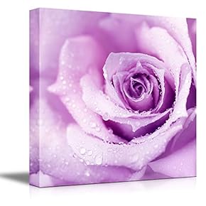 Abstract Purple Wet Rose Beautiful Macro Flower with...