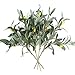 Artificial Olive Plants Branches Fake Fruits Silk Plants Branch Leaves ndoor Outside Home Garden Office Verandah Decor (4 Pcs)