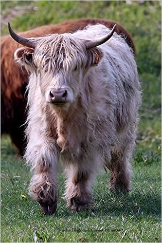 Vache Highland Carnet De Notes Journal Ligne De 119 Pages Une Belle Idee De Cadeau Pour Les Amoureux Des Animaux Journals Papersian Amazon Ca Livres