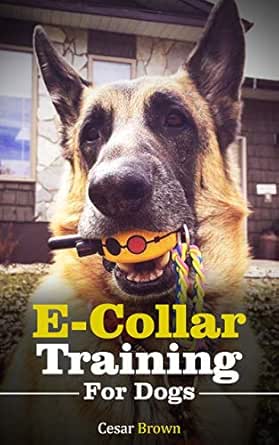 e collar training book