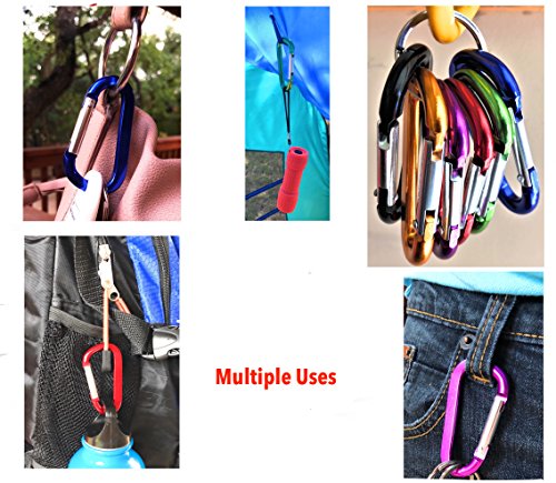 image for Keychain Carabiner Clip Vibrant Assorted Color 6 pcs Pack, Spring load