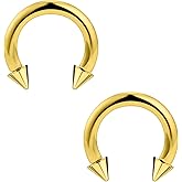 Ftovosyo 2Pcs PA Ring Horseshoe Circular Barbell 316L Surgical Steel Internally Threaded 00G 0G 2G 4G 6G 8G 10G Ear Gauges Septum Rings Pierced Jewelry for Women Men 8mm 10mm 12mm 16mm 19mm