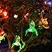 10 Color Changing LED Hummingbird Solar Outdoor Garden & Patio String Lights