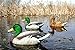 Dakota Decoy X-Treme Flocked Drake Head Mallards (12 Pack)  12120