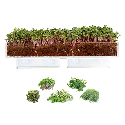 Transparent Window Planter Box With Suction Cups - Acrylic Rectangular Plant Pot For Home & Office - View #4