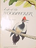 Life of the Woodpecker