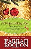 A Perfect Holiday Fling (Moments in Maplesville) (Volume 1)