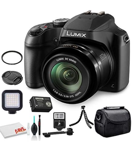 Amazon.com : Panasonic Lumix DC-FZ80D Digital Camera (DC-FZ80DK