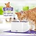 Ruff 'n Ruffus Cat Drinking Water Fountain with 3 FREE Filters + FREE Silicone Mat + FREE Handheld Toy | 2-Liter Automatic Water Dispenser with 3 Flow Settings | Durable Pump & Easy Cleaning