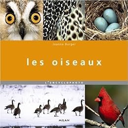 Les  oiseaux