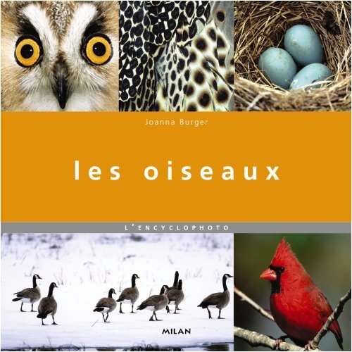 Les  oiseaux