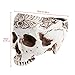 Allrise Human Gothic Skull White Resin Succulent Planter Pots Flower Plant Containers Halloween Decoration (1#)