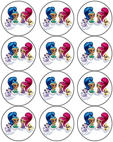 Shimmer & Shine Cupcakes Edible Image Photo Cake Topper Sheet Personalized Customized Custom Birthday - 12 CUPCAKES - 17550