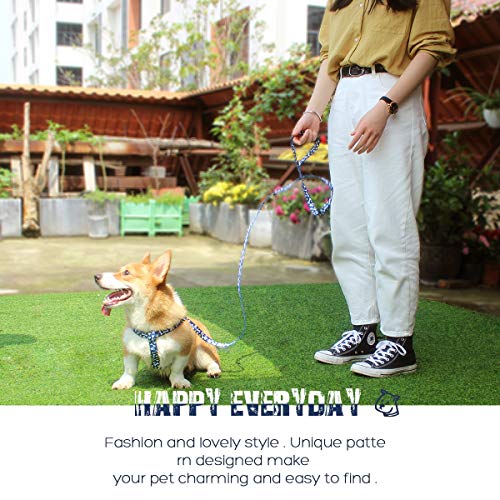 QQPETS Dog Harness Leash Set, Adjustable Heavy Duty No Pull Basic Harnesses for Extra Small Breed Dogs, Back Clip, Anti-Twist, Perfect for Walking (XS(12"-18" Chest Girth), Bone)