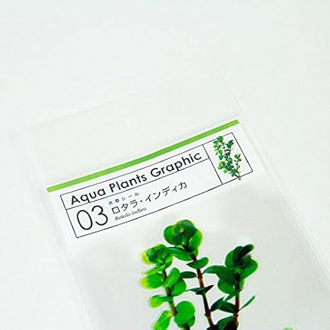 Amazon 水草シール3枚セット 03 ロタラ インディカ みずものコム 人工水草 通販