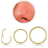 Nose Rings Hoop and Nose Studs Sets for Women Men,Hypoallergenic 316L Surgical Stainless Steel Hinged Clicker Segment Nose Rings Hoop Helix Cartilage Daith Tragus Sleeper Earrings Silver Gold Black L Shape/Corkscrew/Straight Nose Studs Real Body Piercing Jewelry