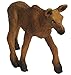 Safari Ltd. North America Wildlife Collection - Moose Calf Figurine Non-toxic and BPA Free