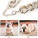 TUOKAY Iced Out Gold Dog Collar Gold Chain for Dog Costume Chain Bling Big Dog Necklace Chain Miami Cuban Necklace for Dog Cat (20mm Thick) (Gold Dog Collar Cuban Chain)