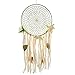 Love this dream catcher.