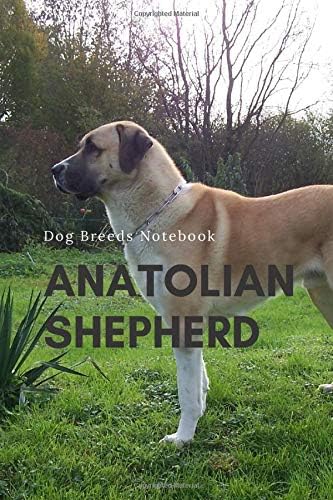 Anatolian Shepherd: Dog Breeds Notebook, Journal, Diary (110 Pages, Blank, 6 x 9)