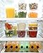 Healthy Packers Deli Food Storage Containers with Lids - 16 oz. Leakproof Clear Plastic Deli Cups - BPA Free, Microwaveable, Freezer and Dishwasher Safe. (40 Pack)