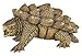 Papo "Alligator Snapping Turtle" Figure