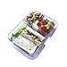 Smartbentobox Leakproof Bento Lunch Box with 4 Storage Compartments, Retro Green
