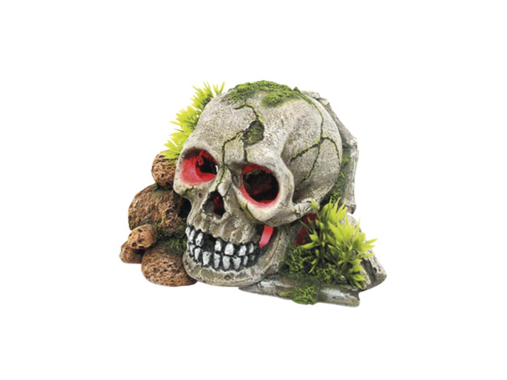 Nobby 28604 Aqua Ornaments Skull with Plants with LED 15.5 x 13.3 x 9.5 cm