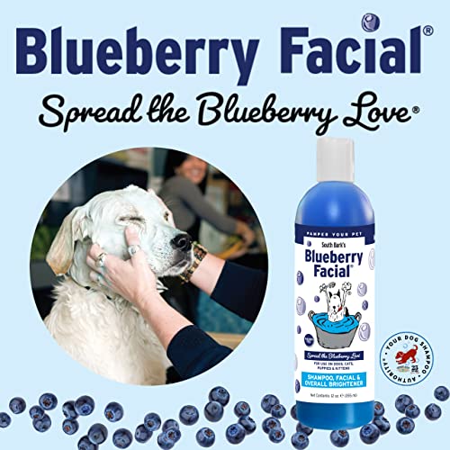 South Bark's Blueberry Facial® Pet Shampoo 12 oz. Brightener & Tear