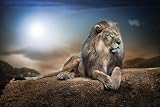azutura Majestic Lion Wall Mural Wallpaper Digital Print 8 Sizes view 4