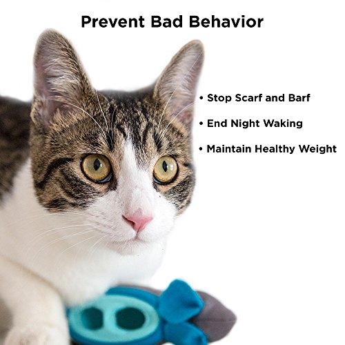 Doc & Phoebe's Interactive Indoor Hunting Cat Feeder Award Winning Active Enrichment Cat