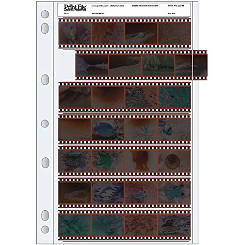 Print File Archival 35mm Size Negative Pages Holds Seven Strips of Four Frames, Pack of 25
