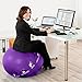 Epitomie Fitness Active Balance Fitness Ball with Imprinted Exercise and Training eBook (Purple/65 cm)
