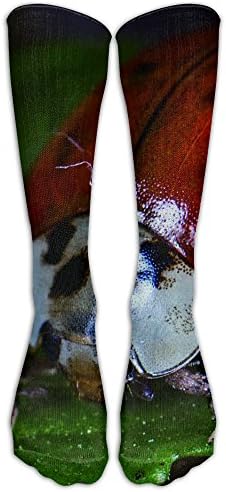 Ladybird Knee High Graduated Compression Socks For Women And Men - Best Medical, Nursing, Travel &amp; Flight Socks - Running &amp; Fitness