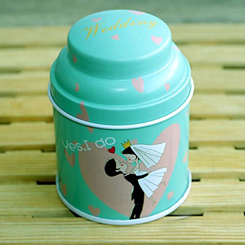 TooGet Elegant Tinplate Empty Tins, Home Kitchen Storage Containers, Shabby Chic Tins for DIY Candles, Dry Storage, Spices, Tea, Candy, Party Favors, and Gifts(Cylinder 6-Pack)