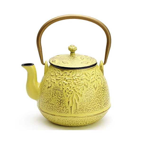 Tea Kettle, TOPTIER Japanese Cast Iron Teapot with Stainless Steel