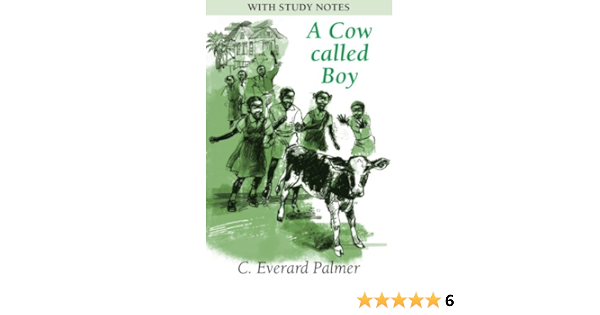 Cow Called Boy With Study Notes C Palmer 9780230733435 Books