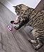 Petlinks Cheese Chaser Electronic Motion Remote Controlled Cat Toy, Battery Powered - Gray/White, One Size