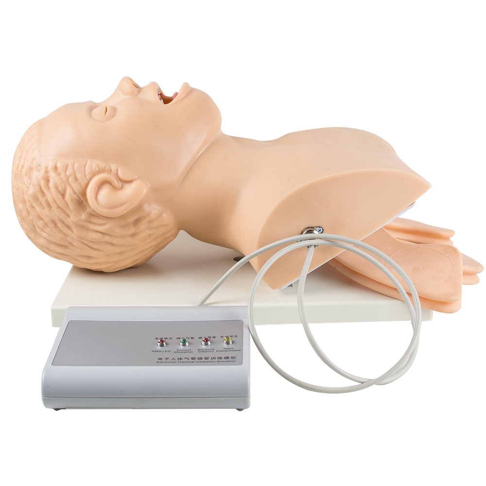 Buy vinmax Airway Management Manikin, Electronic Tracheal Intubation Training Simulator Model